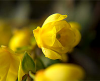 photo photo